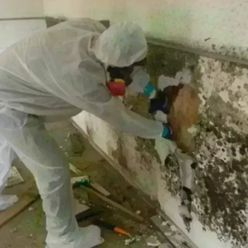 Mold Remediation and Removal in Poland, ME