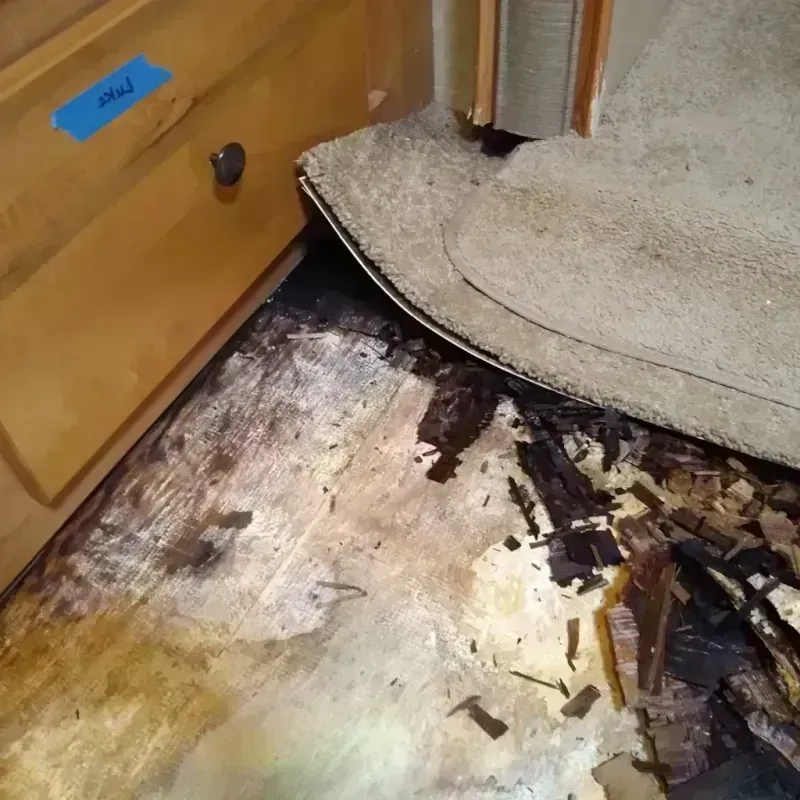 Best Wood Floor Water Damage Service in Poland, ME